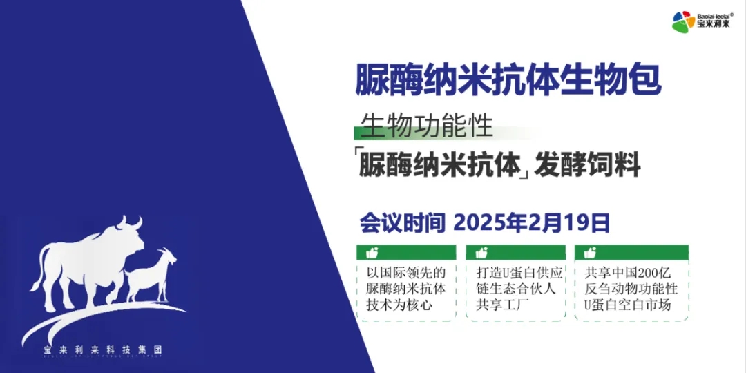 3.webp (2).jpg