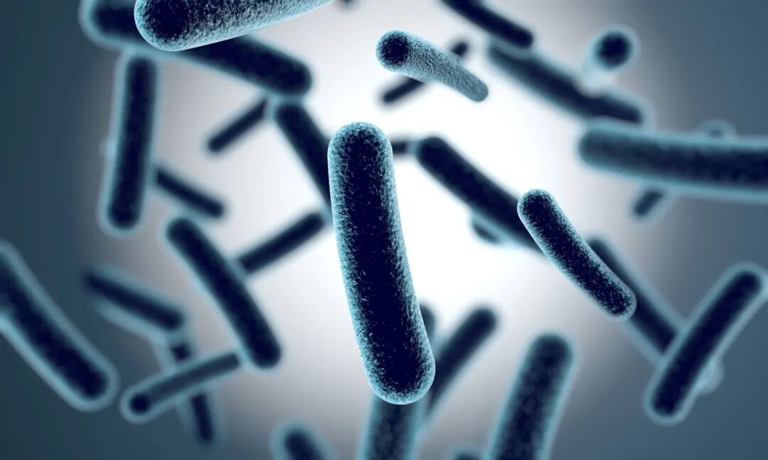 a708ff5efea4b15696fd1571003a19f4.jpg a708ff5efea4b15696fd1571003a19f4.jpg