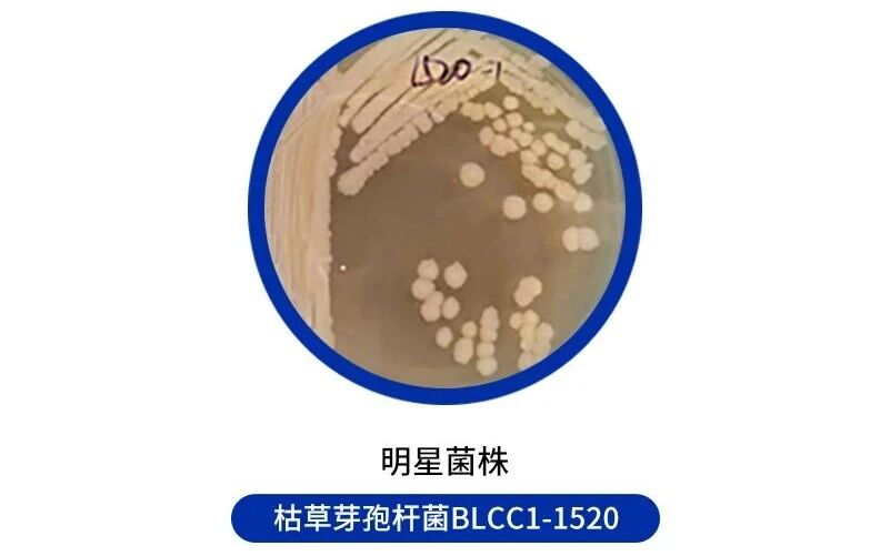 969c6e73296faf72003838e26c983dbd.jpg 969c6e73296faf72003838e26c983dbd.jpg