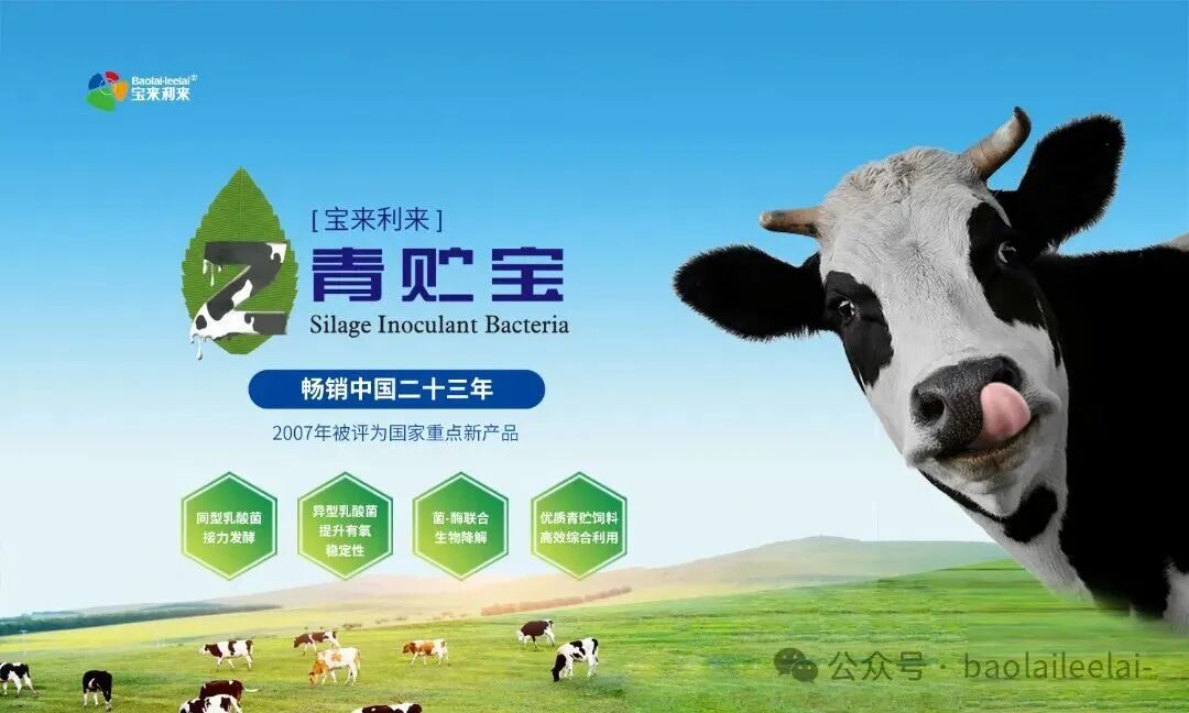 40c2134cc7ae3bc39887607fa85531fd.jpg