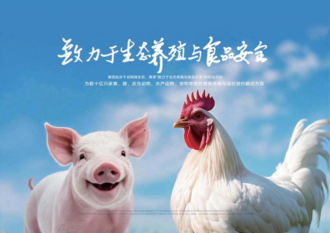 2b507ea800c637eff8bf11585ecdcffd.png